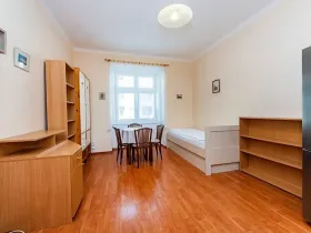 Pronájem bytu 1+kk, Praha - Nusle, Pod pramenem, 24 m2