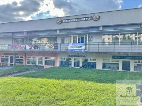 Prodej obchodního prostoru, Ústí nad Labem - Ústí nad Labem-centrum, SNP, 1786 m2