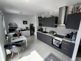 Pronájem bytu 1+kk, Olomouc, Eduarda Hamburgera, 32 m2
