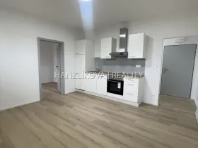 Pronájem bytu 2+kk, České Budějovice - České Budějovice 4, Rudolfovská tř., 50 m2