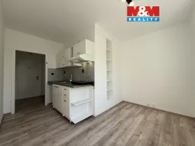 Pronájem bytu 1+1, Karviná - Ráj, Borovského, 42 m2
