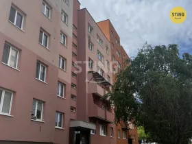 Pronájem bytu 1+kk, Ostrava, Plk. Rajmunda Prchaly, 29 m2