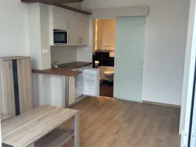 Pronájem bytu 1+kk, Hradec Králové, Brožíkova, 22 m2