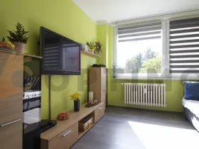 Prodej bytu 3+1, Praha - Kyje, Bajgarova, 65 m2