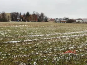 Prodej komerčního pozemku, Opava - Komárov, Ostravská, 10900 m2