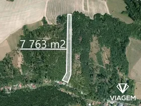 Prodej lesa, Hradec nad Moravicí, 7763 m2