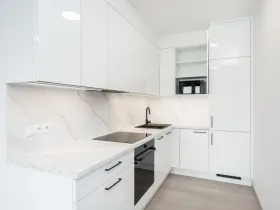Pronájem bytu 1+kk, Praha - Vysočany, Poděbradská, 39 m2