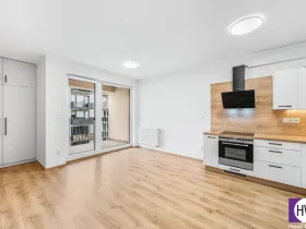 Prodej bytu 2+kk, Plzeň, Goldscheiderova, 56 m2