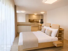 Pronájem bytu 2+kk, Brno, Auerswaldova, 62 m2