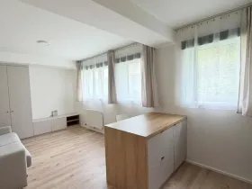 Pronájem bytu 1+kk, Praha - Strašnice, Strančická, 30 m2