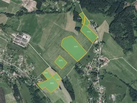 Prodej louky, Jílové u Držkova, 26037 m2