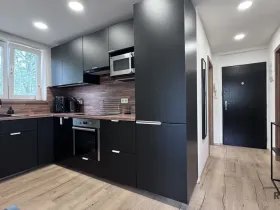 Pronájem bytu 3+1, Dubňany, Hornická, 66 m2