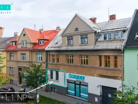 Pronájem bytu 1+1, Olomouc - Nové Sady, Rooseveltova, 65 m2