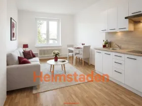 Pronájem bytu 1+kk, Havířov - Město, Československé armády, 19 m2
