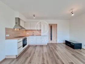 Pronájem bytu 1+kk, Brno, Spolková, 33 m2