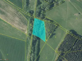 Prodej louky, Broumov - Rožmitál, 4529 m2