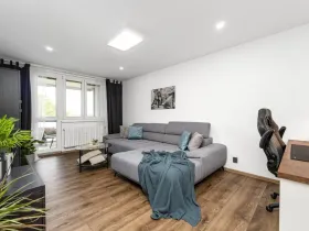 Prodej bytu 2+1, Ostrava - Hrabůvka, Provaznická, 50 m2