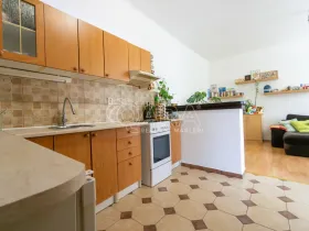 Prodej bytu 2+kk, Praha - Holešovice, Jankovcova, 44 m2