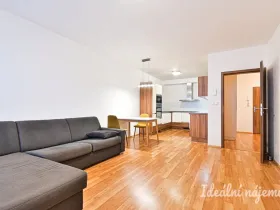 Pronájem bytu 2+kk, Brno, Rostislavovo náměstí, 59 m2