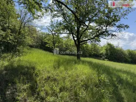 Prodej louky, Uherské Hradiště, Partyzánská, 5056 m2