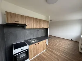 Pronájem bytu 1+kk, Most, Javorová, 33 m2