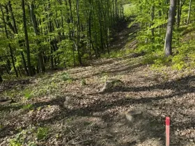 Prodej lesa, Hřivínův Újezd, 3320 m2