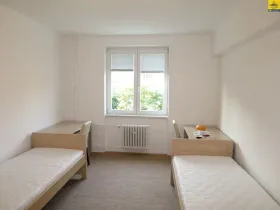Pronájem pokoje, Olomouc, Masarykova třída, 17 m2