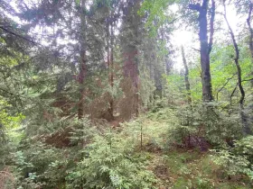 Prodej pole, Krásná, 1440 m2