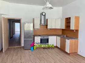 Pronájem bytu 2+kk, České Budějovice, Dr. Stejskala, 47 m2