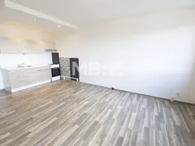 Pronájem bytu 1+kk, Český Těšín, Čáslavská, 32 m2