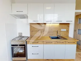 Pronájem bytu 3+1, Plzeň, Manětínská, 71 m2