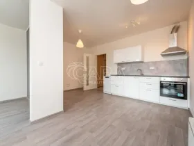 Pronájem bytu 2+kk, Praha - Žižkov, Olgy Havlové, 43 m2