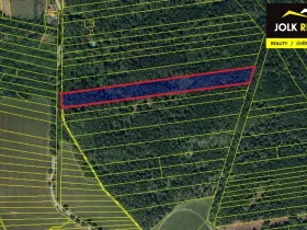 Prodej lesa, Vršovice, 13182 m2