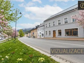 Prodej rodinného domu, Jáchymov, náměstí Republiky, 489 m2