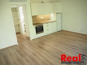 Pronájem bytu 1+kk, Brno - Přízřenice, Moravanská, 34 m2