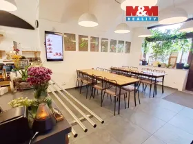 Pronájem obchodního prostoru, Česká Lípa, Moskevská, 45 m2