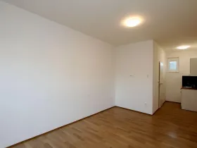 Pronájem bytu 1+kk, Pardubice - Rosice, generála Svobody, 22 m2