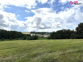 Prodej louky, Rychnov nad Kněžnou, 16663 m2