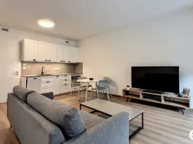Pronájem bytu 1+kk, Praha, Poděbradská, 33 m2