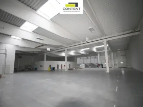 Pronájem skladu, Plzeň - Černice, U Přivaděče, 2599 m2