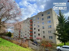 Pronájem bytu 1+1, Vysoké Mýto, U Potoka, 360 m2