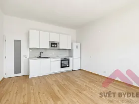 Pronájem bytu 2+kk, Praha - Nusle, Na Pankráci, 60 m2