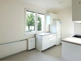 Pronájem bytu 2+1, Praha - Břevnov, Šantrochova, 54 m2