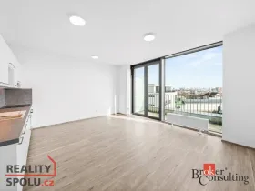 Pronájem bytu 1+kk, Plzeň - Jižní Předměstí, Železná, 42 m2