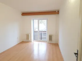 Pronájem bytu 1+kk, Olešná, 25 m2