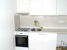 Pronájem bytu 1+1, Ústí nad Labem, SNP, 37 m2