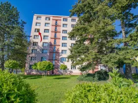 Prodej bytu 3+1, Sušice - Sušice II, Volšovská, 69 m2