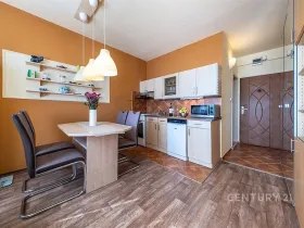 Prodej bytu 1+1, České Budějovice - České Budějovice 2, J. Opletala, 36 m2