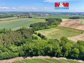 Prodej lesa, Lysá nad Labem, 5227 m2