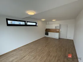 Prodej bytu 1+kk, Plzeň - Jižní Předměstí, Železná, 41 m2